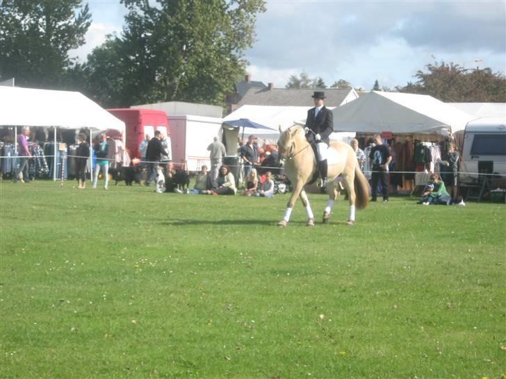 Gørlev Heste-og kræmmermarked :D billede 311