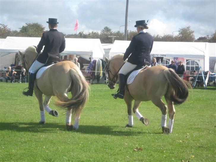 Gørlev Heste-og kræmmermarked :D billede 312