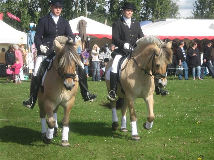 Gørlev Heste-og kræmmermarked :D billede 314