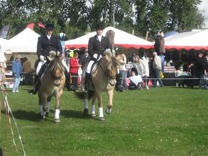 Gørlev Heste-og kræmmermarked :D billede 315