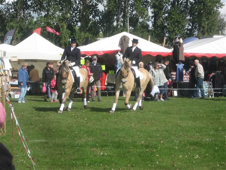 Gørlev Heste-og kræmmermarked :D billede 316