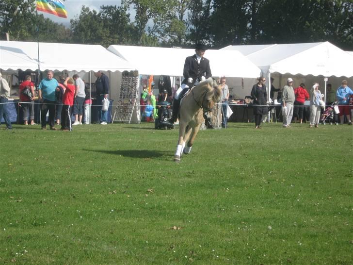 Gørlev Heste-og kræmmermarked :D billede 318