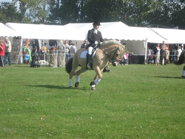 Gørlev Heste-og kræmmermarked :D billede 319