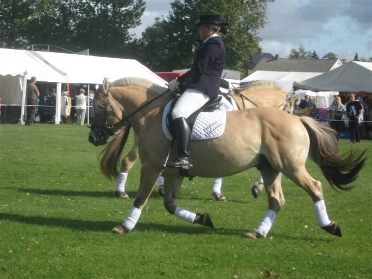 Gørlev Heste-og kræmmermarked :D billede 320