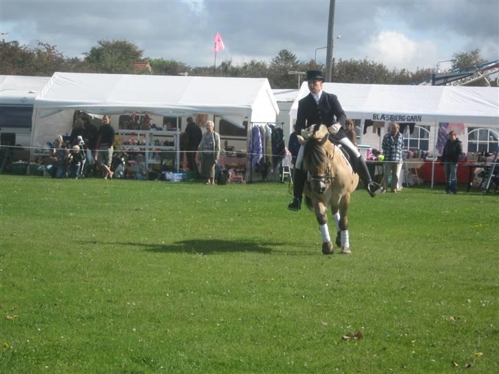 Gørlev Heste-og kræmmermarked :D billede 321