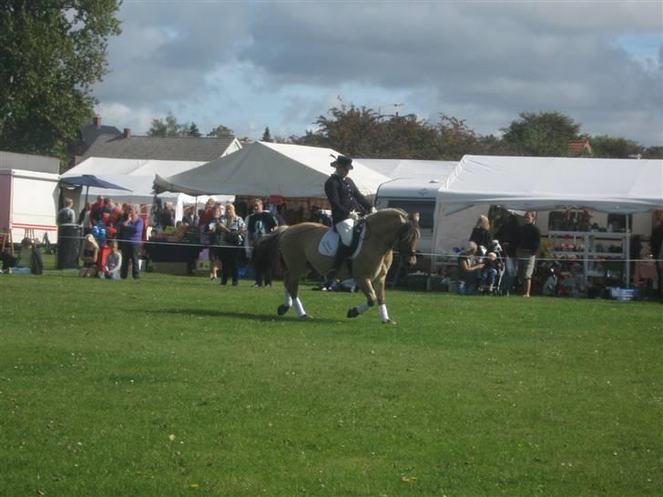 Gørlev Heste-og kræmmermarked :D billede 322