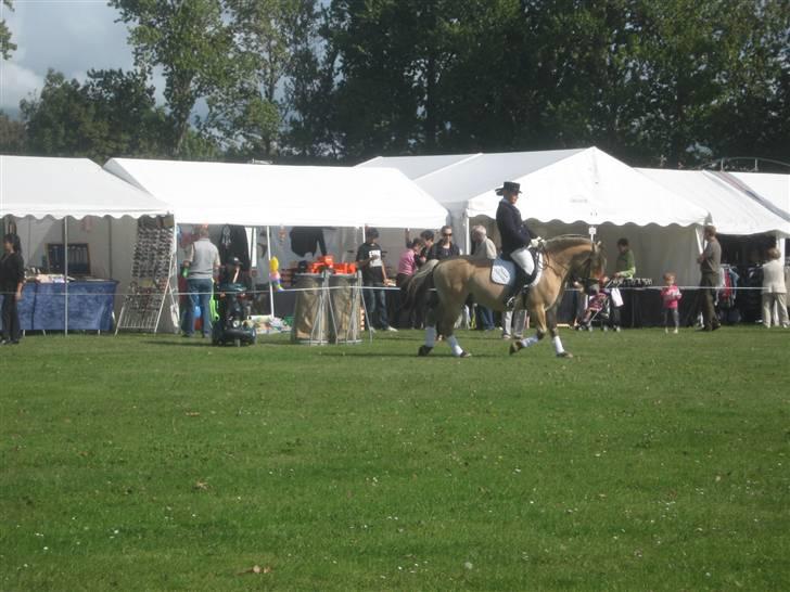 Gørlev Heste-og kræmmermarked :D billede 323