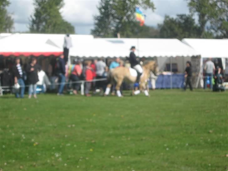 Gørlev Heste-og kræmmermarked :D billede 324