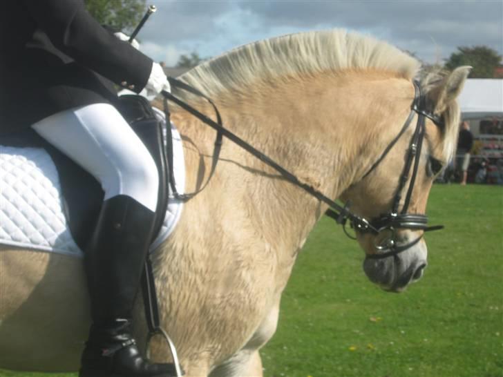 Gørlev Heste-og kræmmermarked :D billede 325