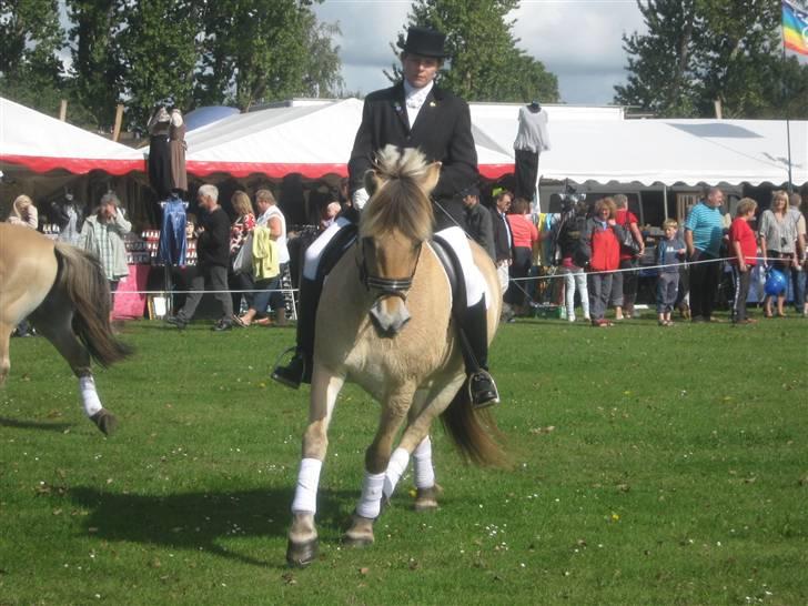 Gørlev Heste-og kræmmermarked :D billede 326