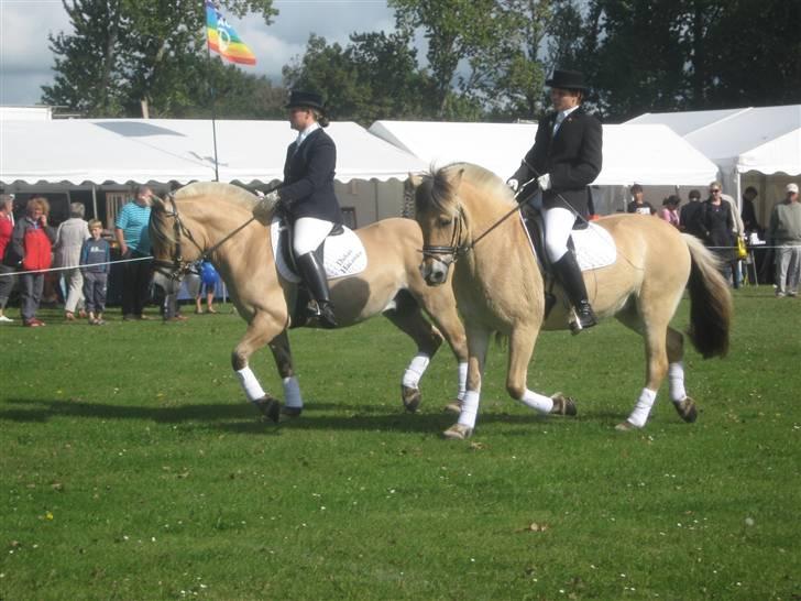 Gørlev Heste-og kræmmermarked :D billede 327