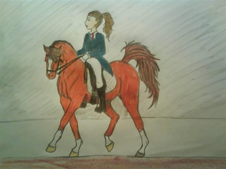 © Mine tegninger :) - Dressurhest - Med farve (et kikset forsøg på at lave en rød hest) - Hovedet er lidt for lille, jeg ved det godt :) billede 1