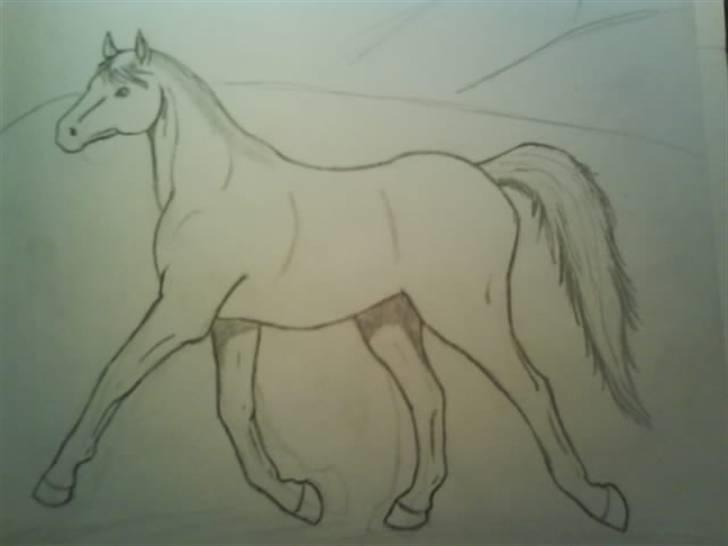 © Mine tegninger :) - Den skulle med, fordi jeg synes at hovedet og kroppen er flot hver for sig. Hovedet er for lille, men nænnede ikke at viske det ud xb Og det samme gjaldt kroppen, da jeg opdagede at den faktisk heller ikke passede. Så nænnede egentlig ikke at viske den ud :D - Men kan godt selv se det med størrelsesforskellen. billede 5