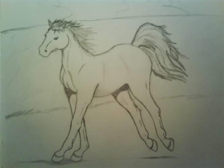 © Mine tegninger :) - Galopperende hest :) - Og jeg ved godt, at bagbenene er blevet liiidt for stive, men.. Det gad jeg ikke ændre, fordi jeg havde brugt pænt lang tid på den :) derudover har den også et pænt stort bagparti, men som sagt. Orkede ikke at ændre mere på den :) billede 6
