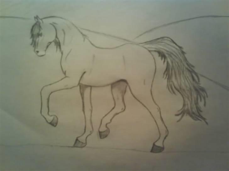 © Mine tegninger :) - Horsie xb billede 11