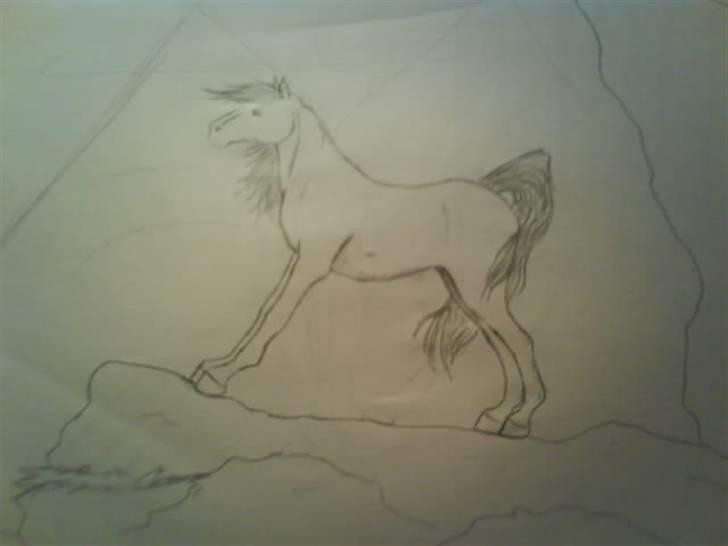 © Mine tegninger :) - Stående hest :D billede 12