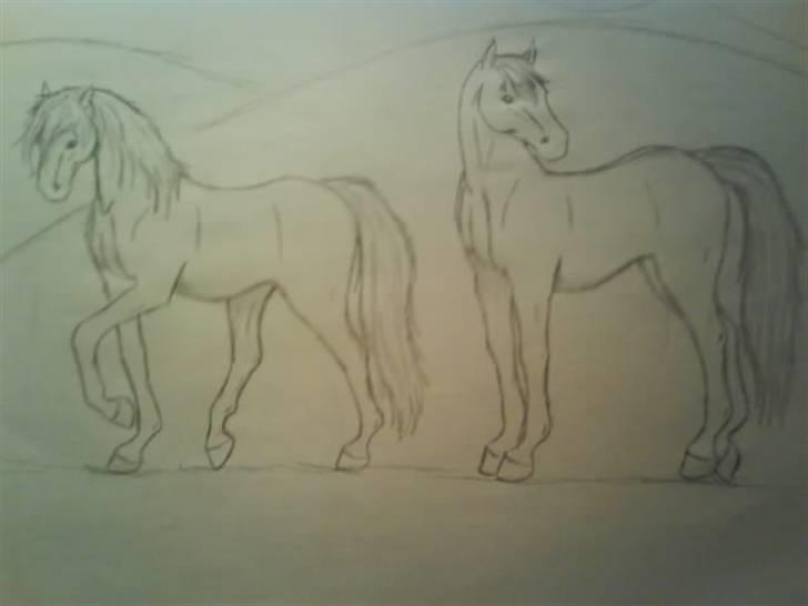 © Mine tegninger :) - Heste på fold ( Det er ikke hele tegningen, men det var bare de flotteste af hestene)
Gammel, og kan stadig se fejl ved dem :) igen lidt det med hovederne. billede 14
