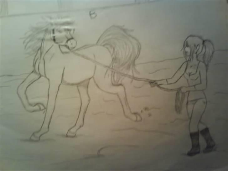 © Mine tegninger :) - Longering :)
I know, benene er lidt lange på hesten, men der findes jo tilfældigvis også heste, som faktisk HAR ultra lange ben :) Så.. Det leger vi lige, at den her hest er :) - Desværre kan man ikke se ørene og pandelokken så godt, pga. lyset, billederne er taget med min mobil. billede 16