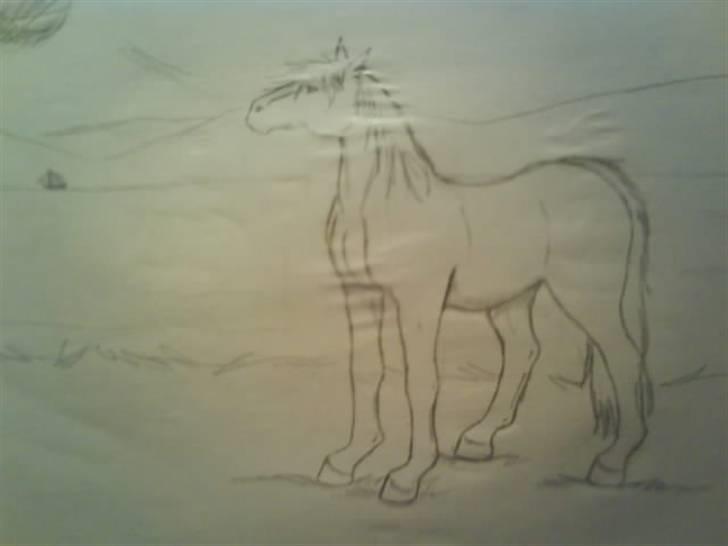 © Mine tegninger :) - Oldenborger (gammel robust generation) billede 17