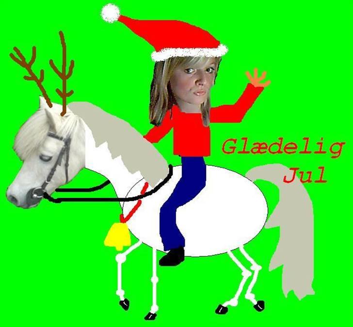 HEST OG RYTTER billede 1