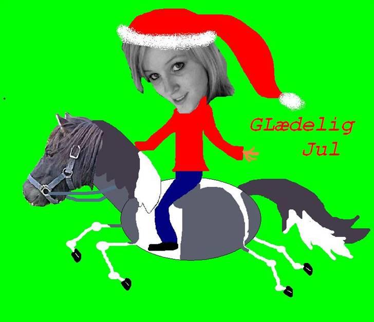 HEST OG RYTTER billede 2