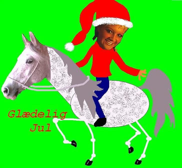 HEST OG RYTTER billede 3