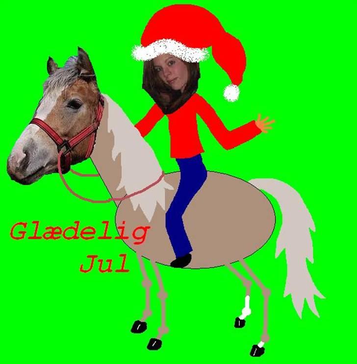 HEST OG RYTTER billede 4