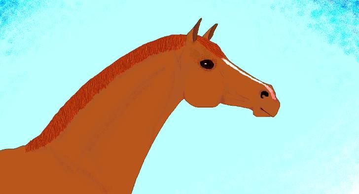 Mine tegninger og billeder billede 12