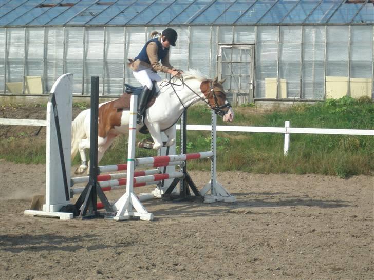 Anderup Rideklub - 2007 billede 16