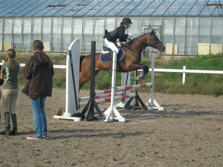 Anderup Rideklub - 2007 billede 19