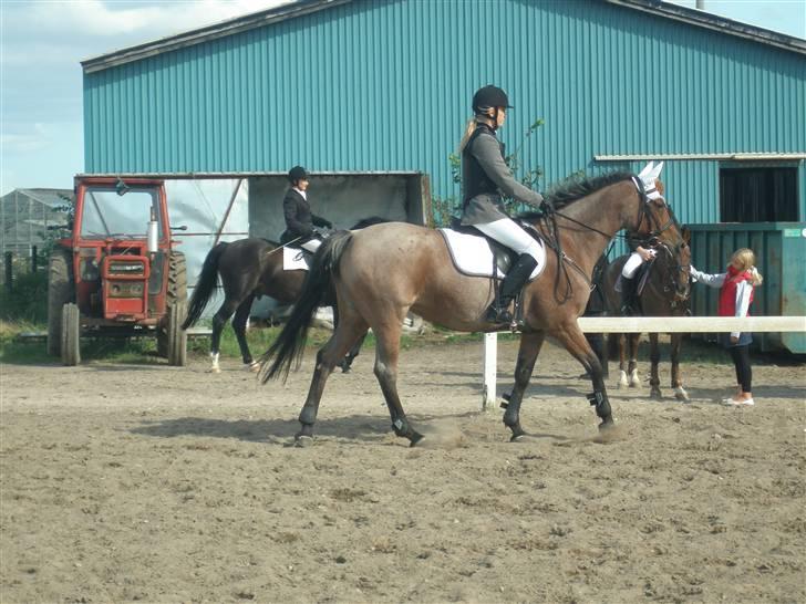Anderup Rideklub - 2007 billede 22
