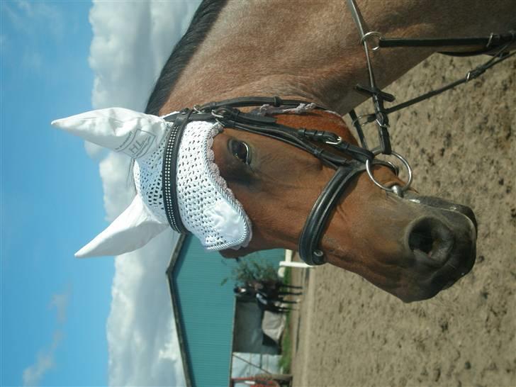 Anderup Rideklub - 2007 billede 24