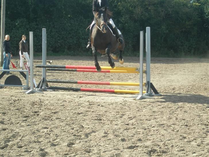 Anderup Rideklub - 2007 billede 29