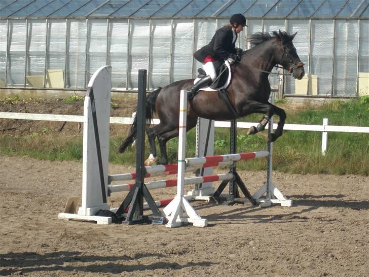 Anderup Rideklub - 2007 billede 31