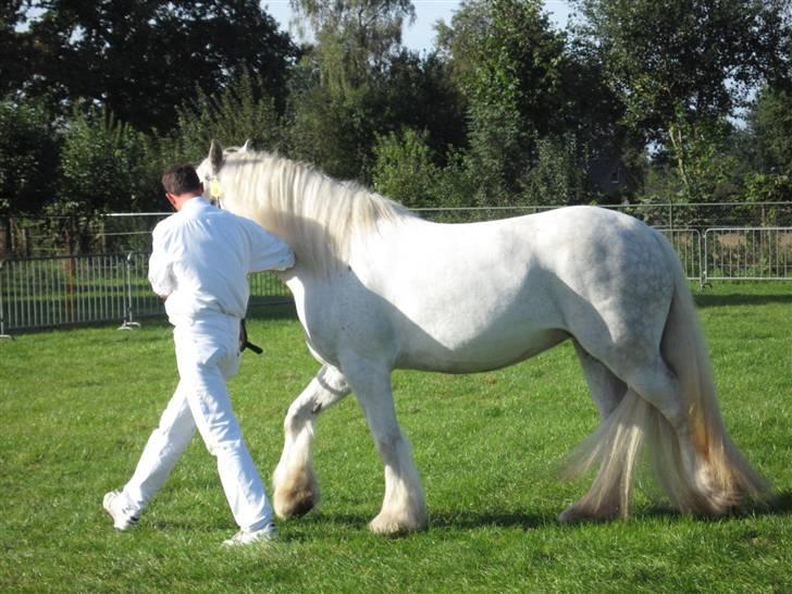 Kåring i NSvT Holland 15 sept. 07 - Hoppe af typen vanner billede 10