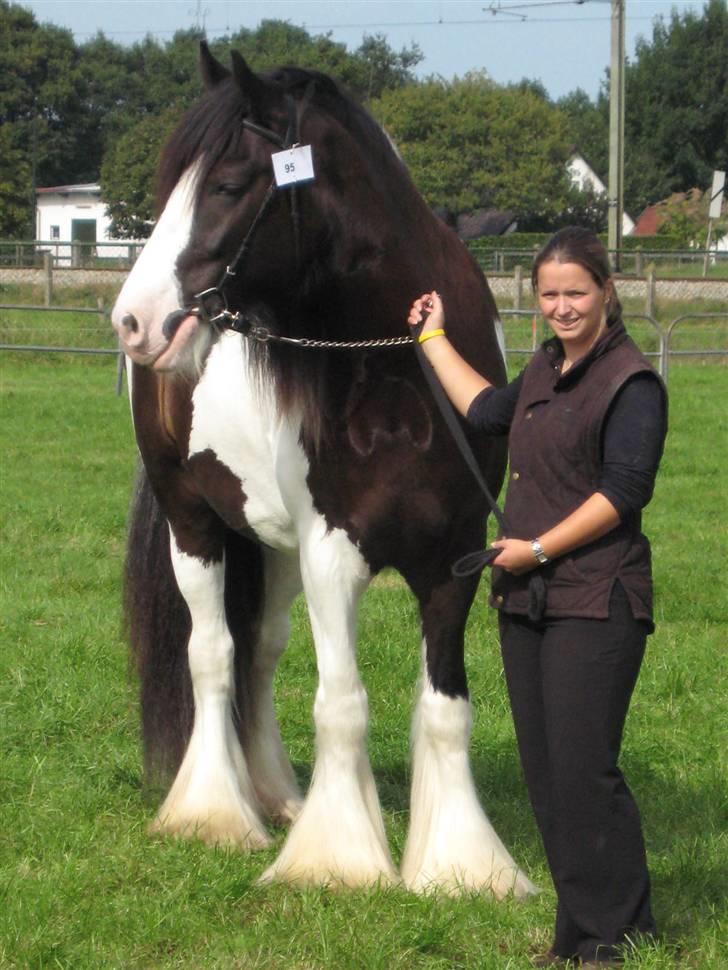 Kåring i NSvT Holland 15 sept. 07 - Vallak billede 13