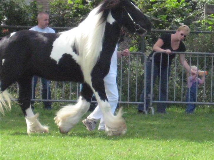 Kåring i NSvT Holland 15 sept. 07 billede 14