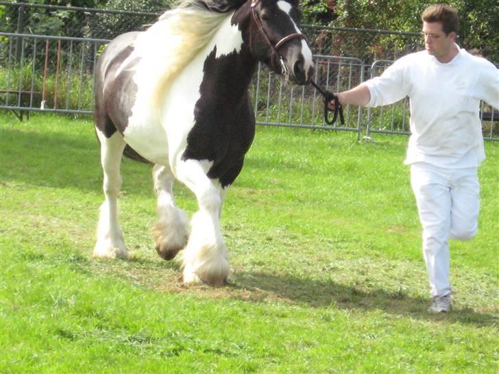 Kåring i NSvT Holland 15 sept. 07 billede 15