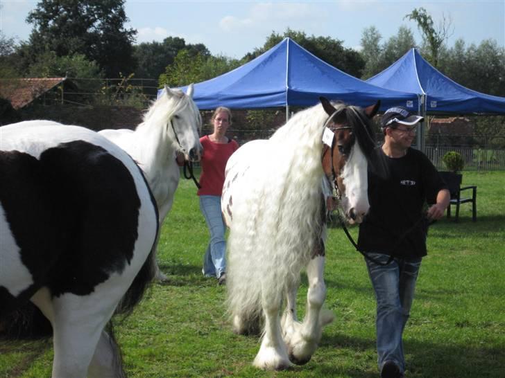 Kåring i NSvT Holland 15 sept. 07 billede 20