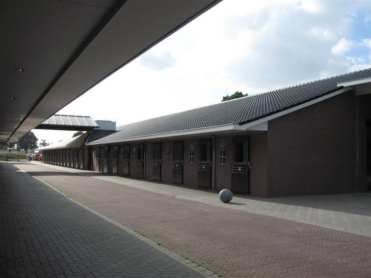 Kåring i NSvT Holland 15 sept. 07 - Ude staldene billede 22