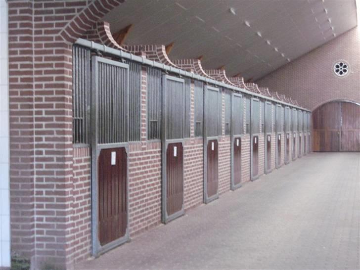 Kåring i NSvT Holland 15 sept. 07 - Inde stalde billede 23