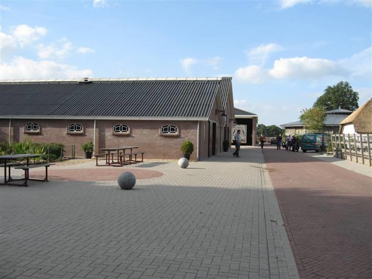 Kåring i NSvT Holland 15 sept. 07 - Lidt af indkørslen ind til dette paradis, hvor der bla. er hingstestation for Frieser billede 24