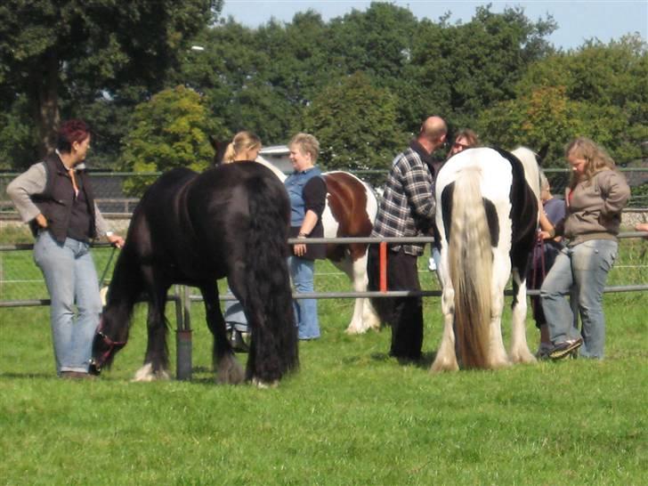 Kåring i NSvT Holland 15 sept. 07 - Hyggesnak men man venter billede 30