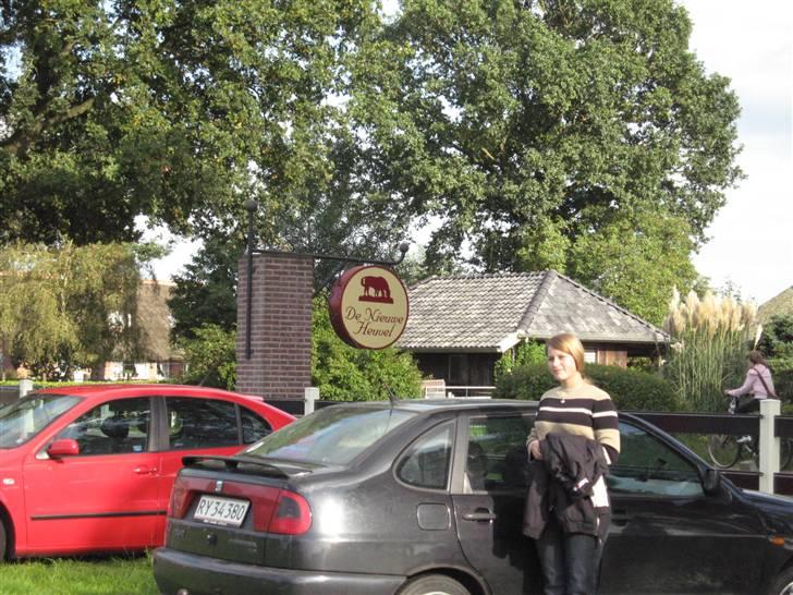 Kåring i NSvT Holland 15 sept. 07 - Tjaa vi skal jo også afsted, trist men med mange gode minder, film og billeder med hjem.
Meen vi kommer igen til foråret, til Hingste-showet.
 billede 33