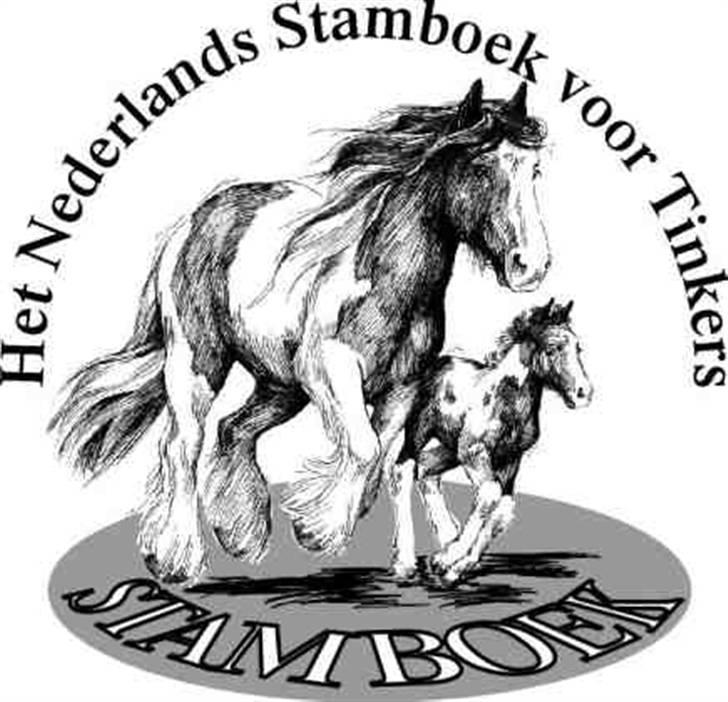 Kåring i NSvT Holland 15 sept. 07 billede 1