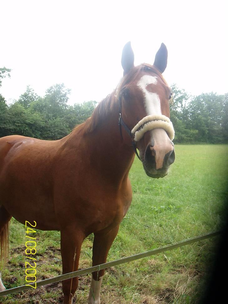 Rens Ungdomsskole 1 billede 1