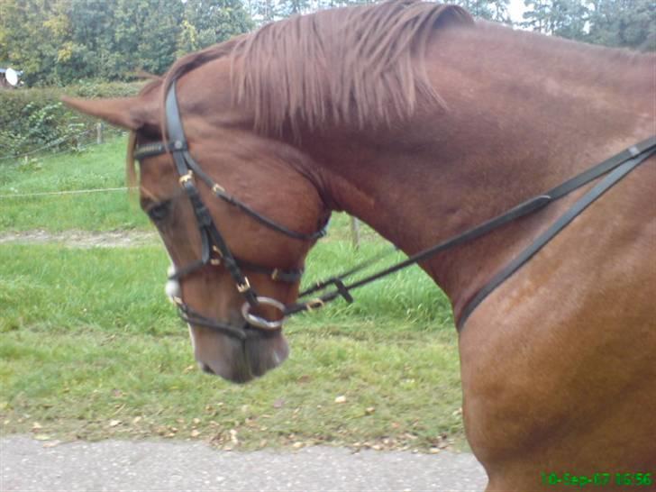 Rens Ungdomsskole 1 billede 3