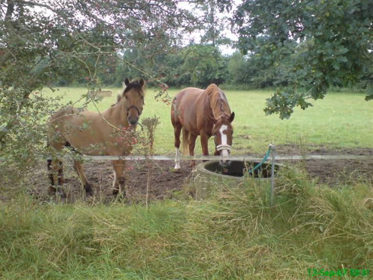 Rens Ungdomsskole 1 billede 4