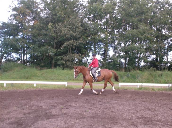 Rens Ungdomsskole 1 billede 6