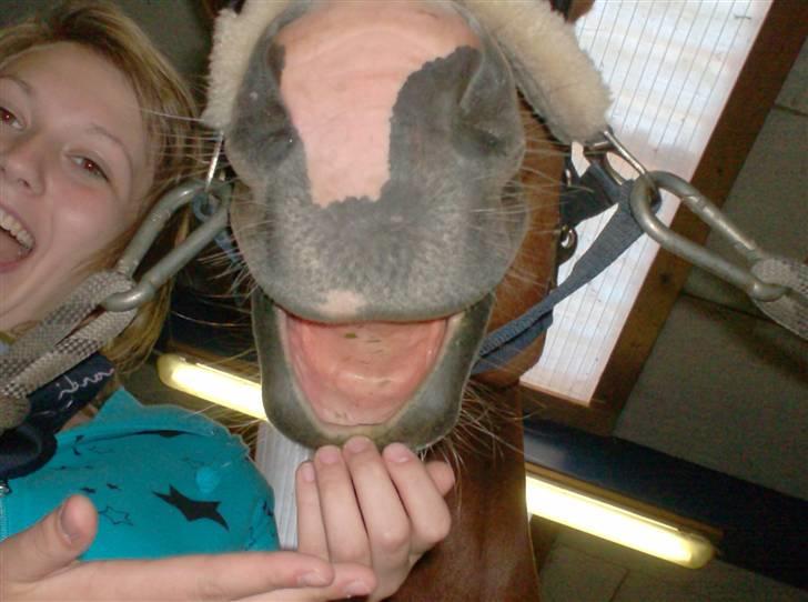 Rens Ungdomsskole 1 billede 7